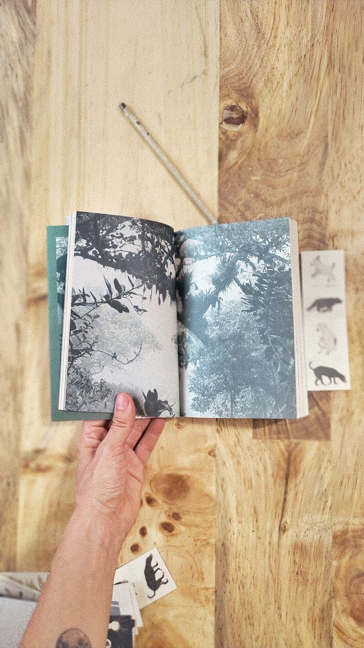 Libro Bosques Tejidos - Image 6