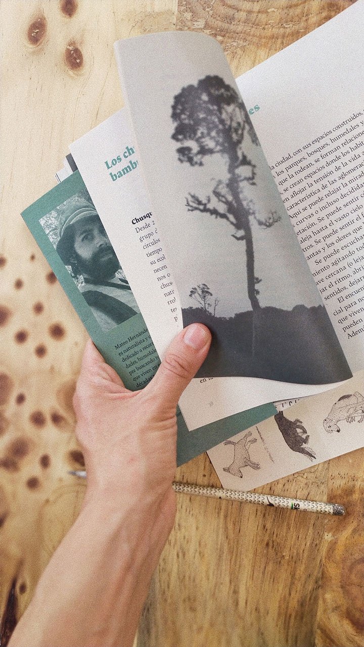 Libro Bosques Tejidos - Image 5