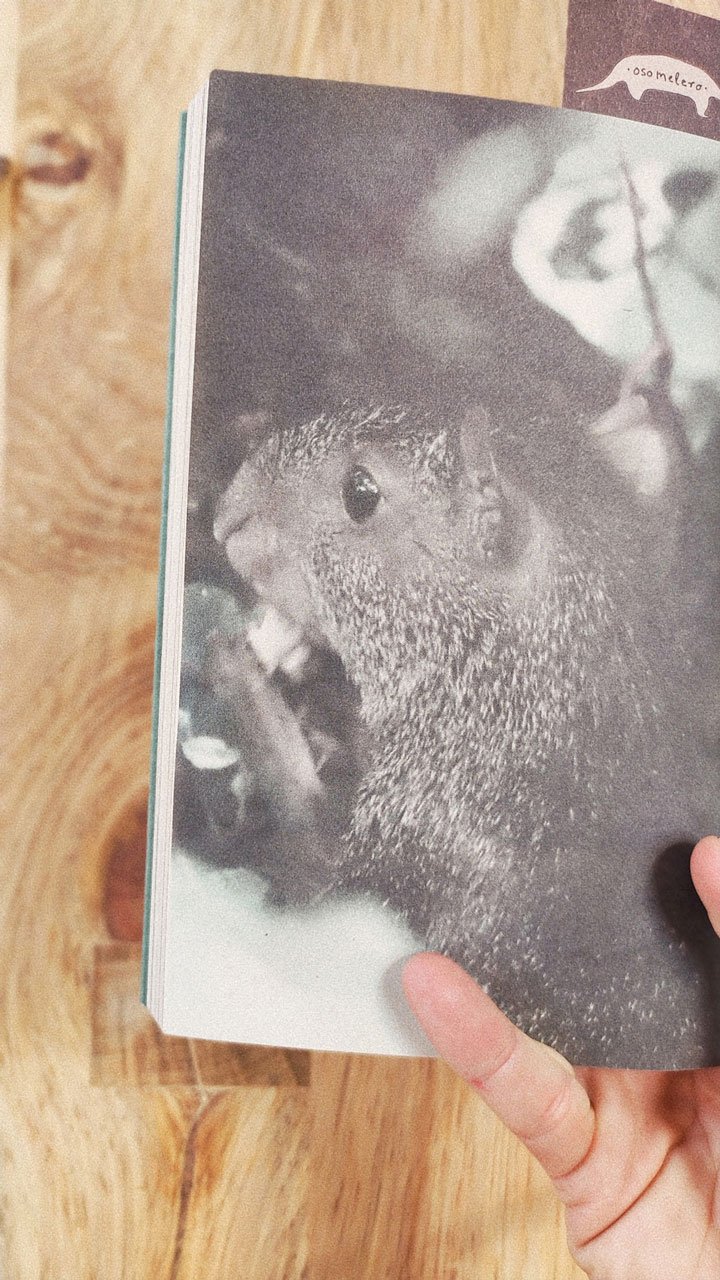 Libro Bosques Tejidos - Image 4