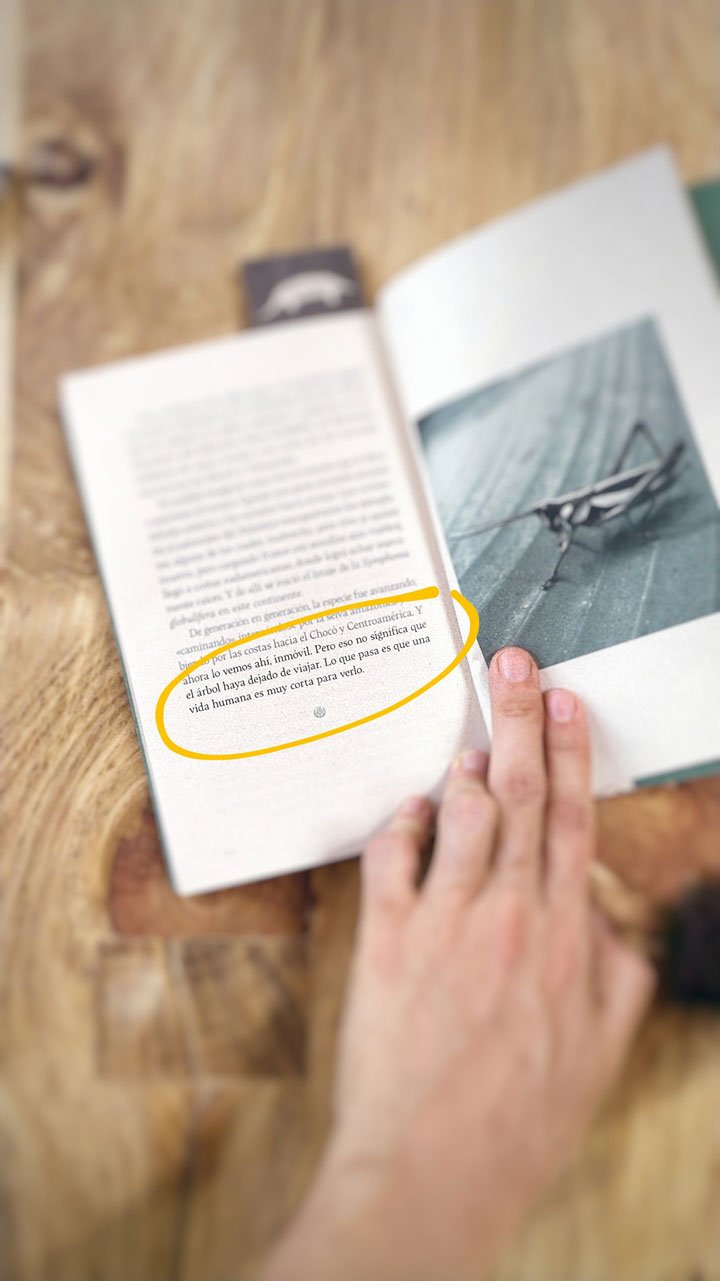 Libro Bosques Tejidos - Image 3