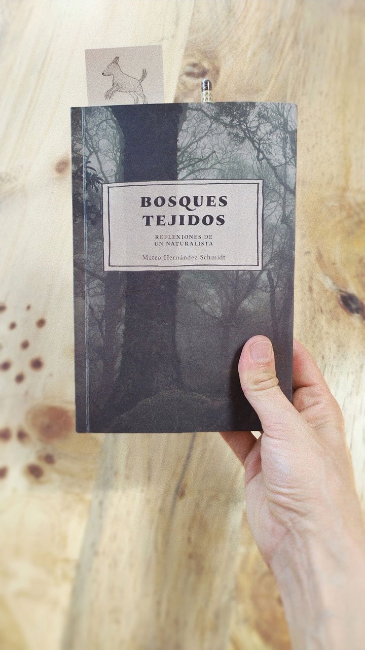 Libro Bosques Tejidos - Image 2