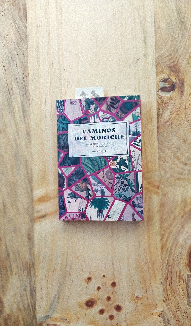 Caminos del Moriche - Image 2