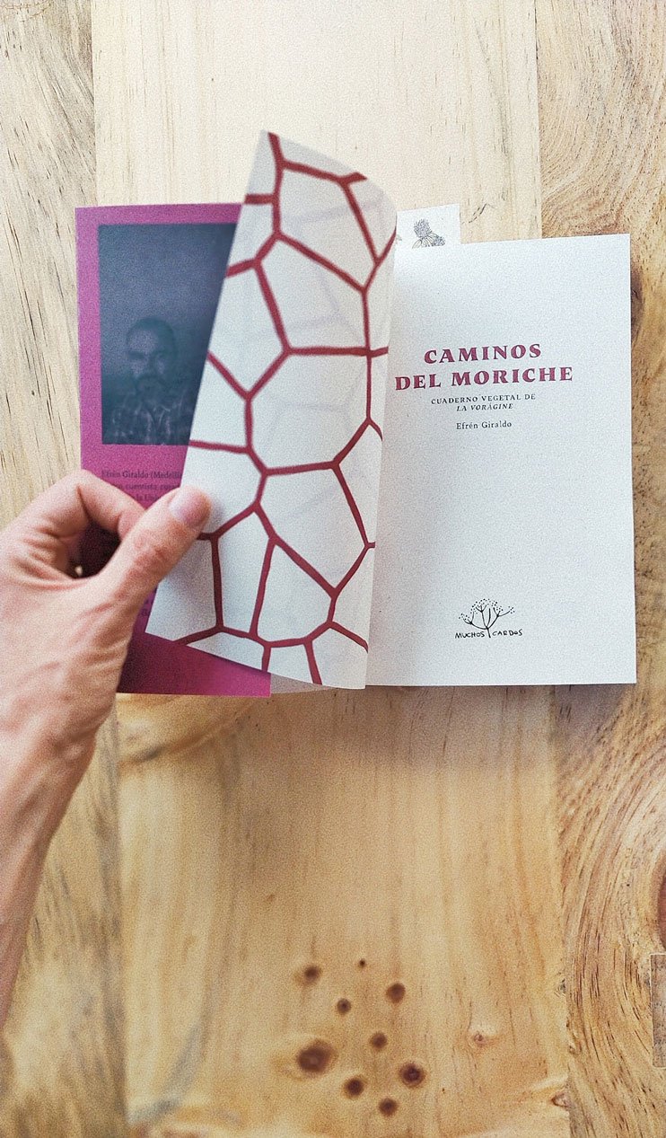 Caminos del Moriche - Image 5