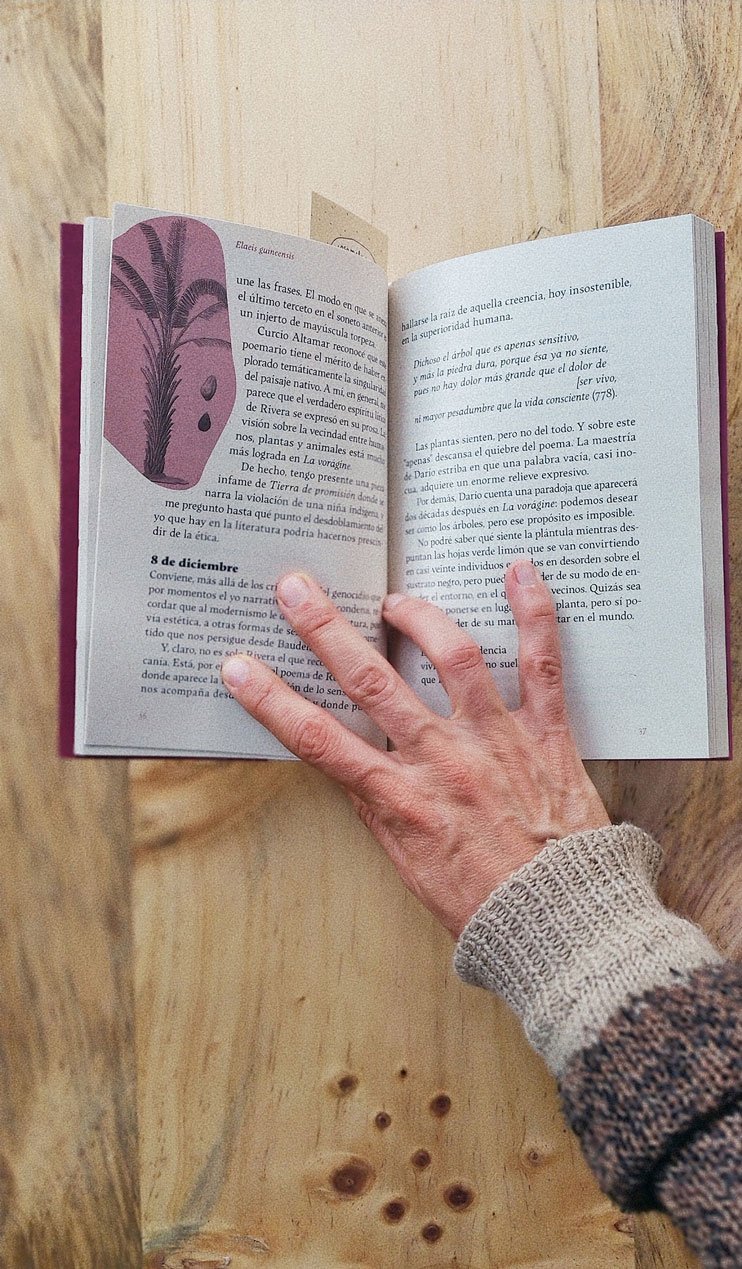 Caminos del Moriche - Image 4