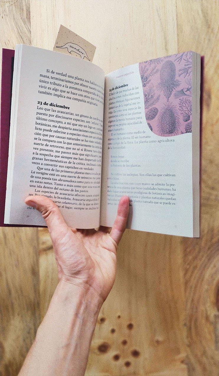 Caminos del Moriche - Image 3