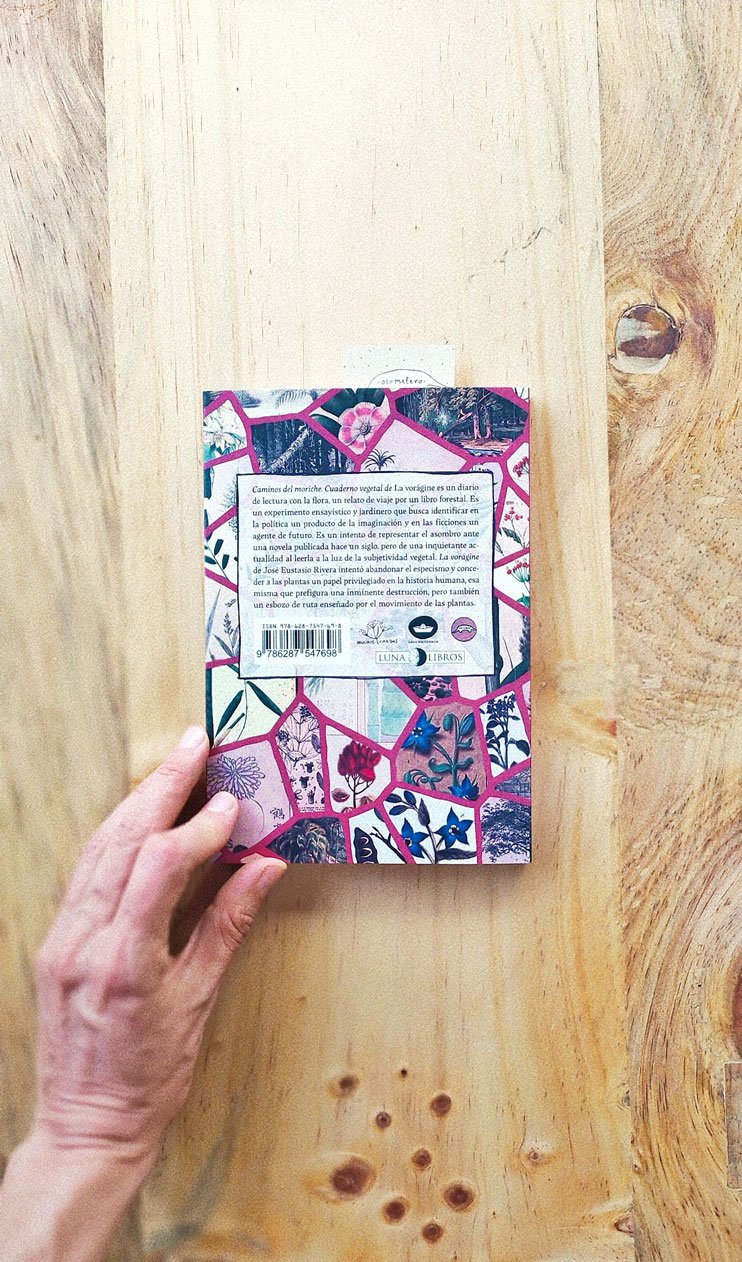 Caminos del Moriche - Image 6