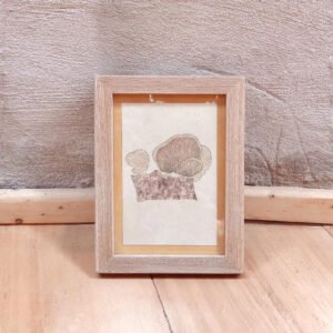 Cuadro Hongo Coprinellus