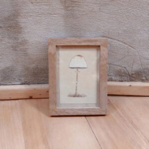 Cuadro Hongo Macrolepiota