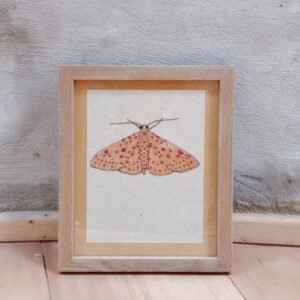 Cuadro Polilla Amarilla