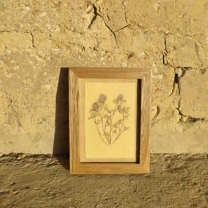 Cuadro Trébol Morado