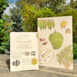 Agáchese Grandes, papel puntos