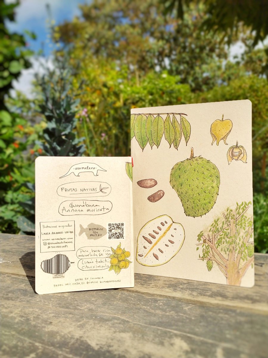 Guanábana - Image 2