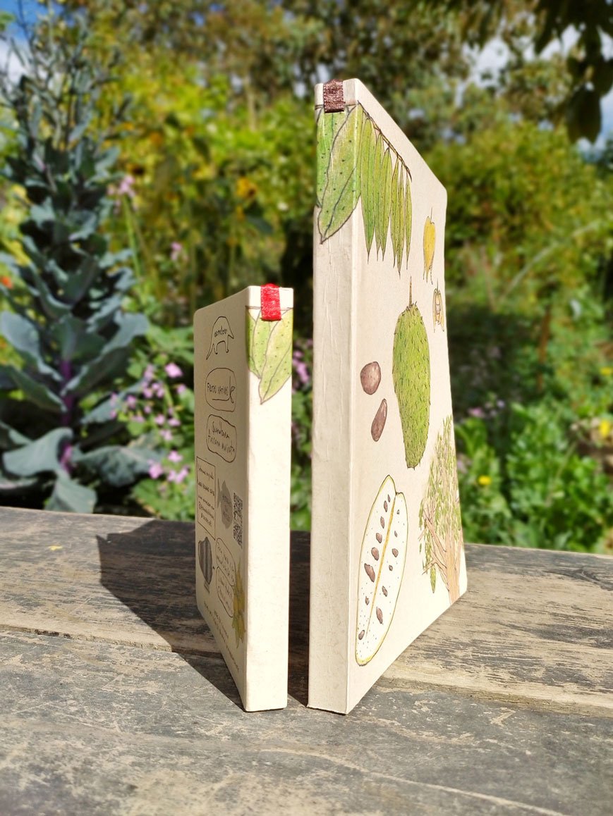 Guanábana - Image 3