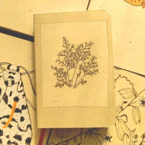 Agáchese Mini