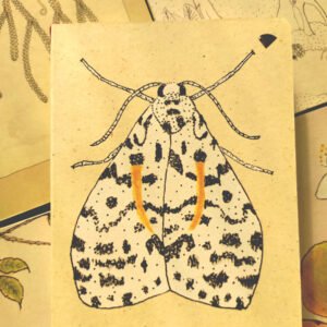 Agáchese Medianas, papel blanco